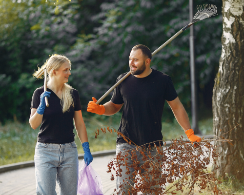 Professional spring cleaning service in action